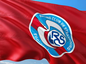 aoa体育体育中国官网-帕尔梅拉斯小将表现抢眼，劲旅添新力量