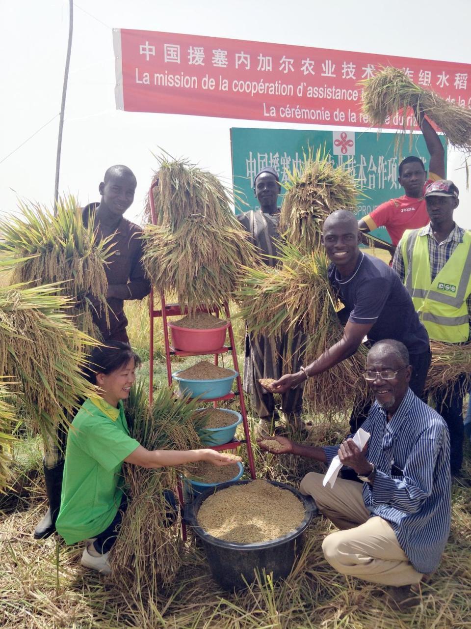 关于进取决赛!南非球队打破瓶颈,终夺前八的信息 关于进取决赛!南非球队打破瓶颈,终夺前八的信息