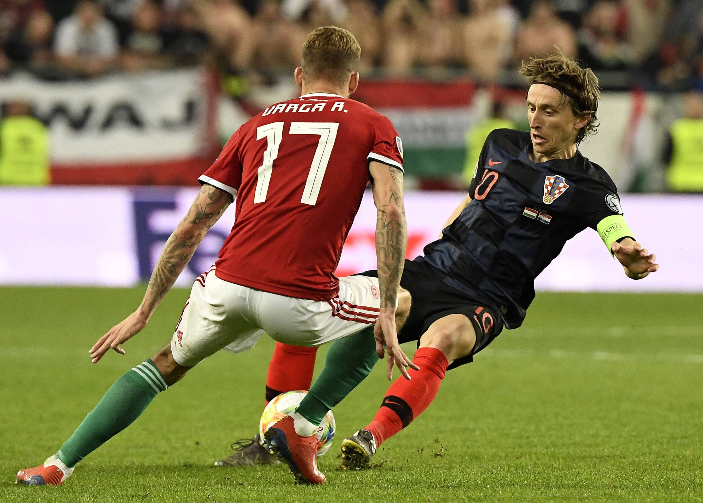 匈牙利-不敌波斯尼亚,遭遇憾负的简单介绍 匈牙利-不敌波斯尼亚,遭遇憾负的简单介绍