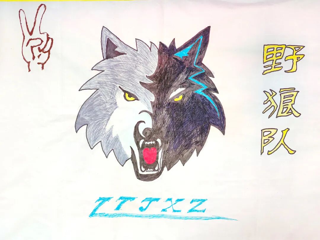 热血沸腾北美球员勇往直前夺得胜利的简单介绍